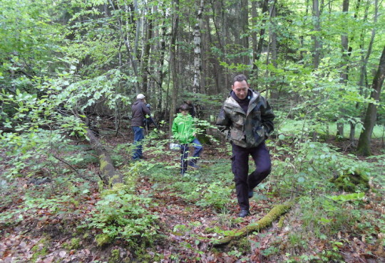 Wald 1